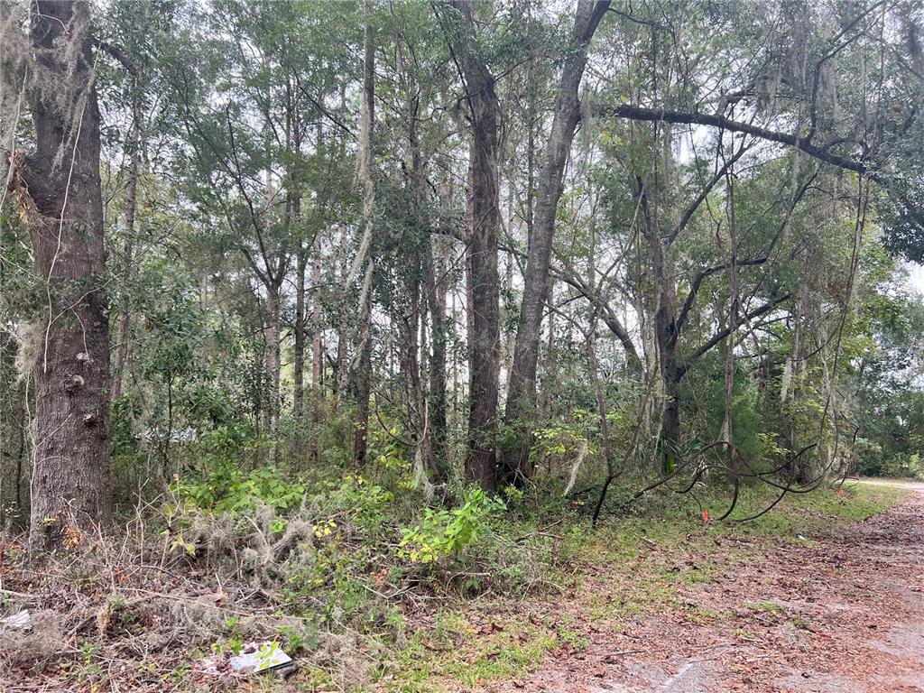 0 Northwest 187th Road High Springs, FL 32643 - Photo 4 of 5