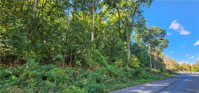 $1 | 24 Glenwood Avenue, Lockport City, NY 14094