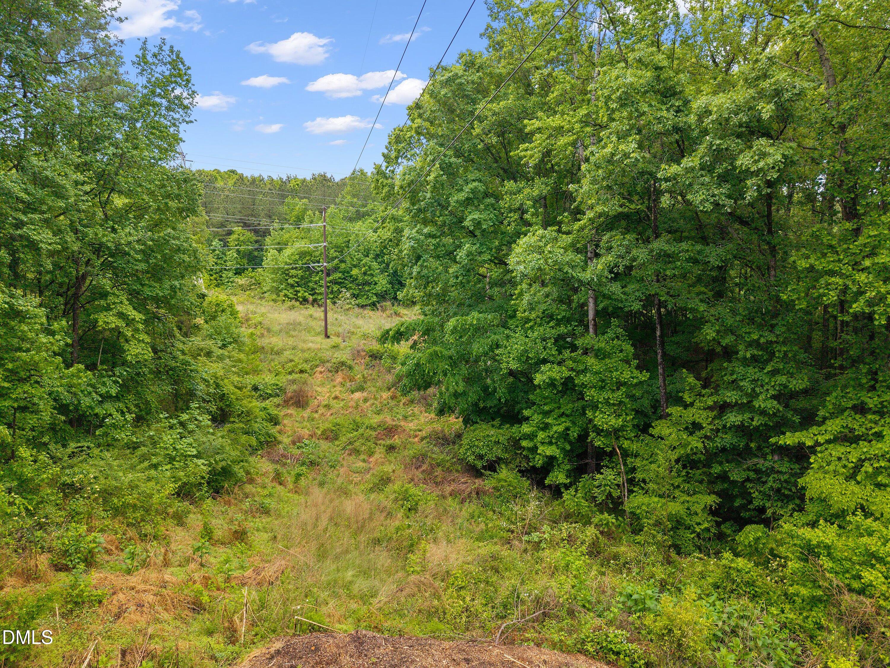 0 Pocomoke Road Franklinton, NC 27525 - Photo 16 of 19 a view of a forest