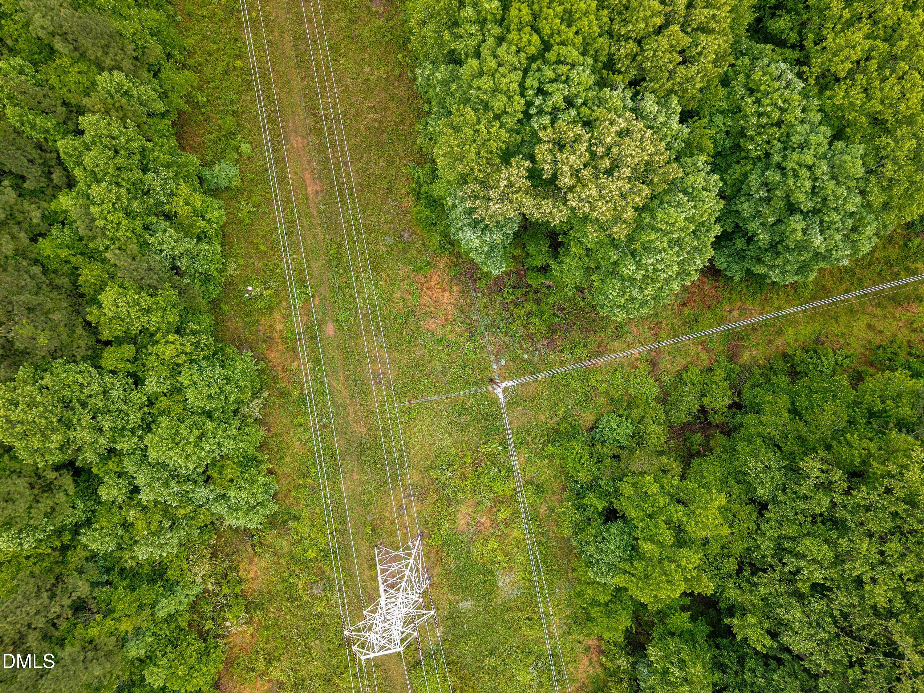 0 Pocomoke Road Franklinton, NC 27525 - Photo 10 of 19 a view of a plant