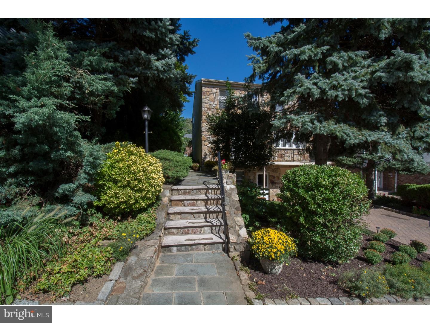 11 Henley Road Wynnewood, PA 19096 - Photo 10 of 17 Gallery Image 10