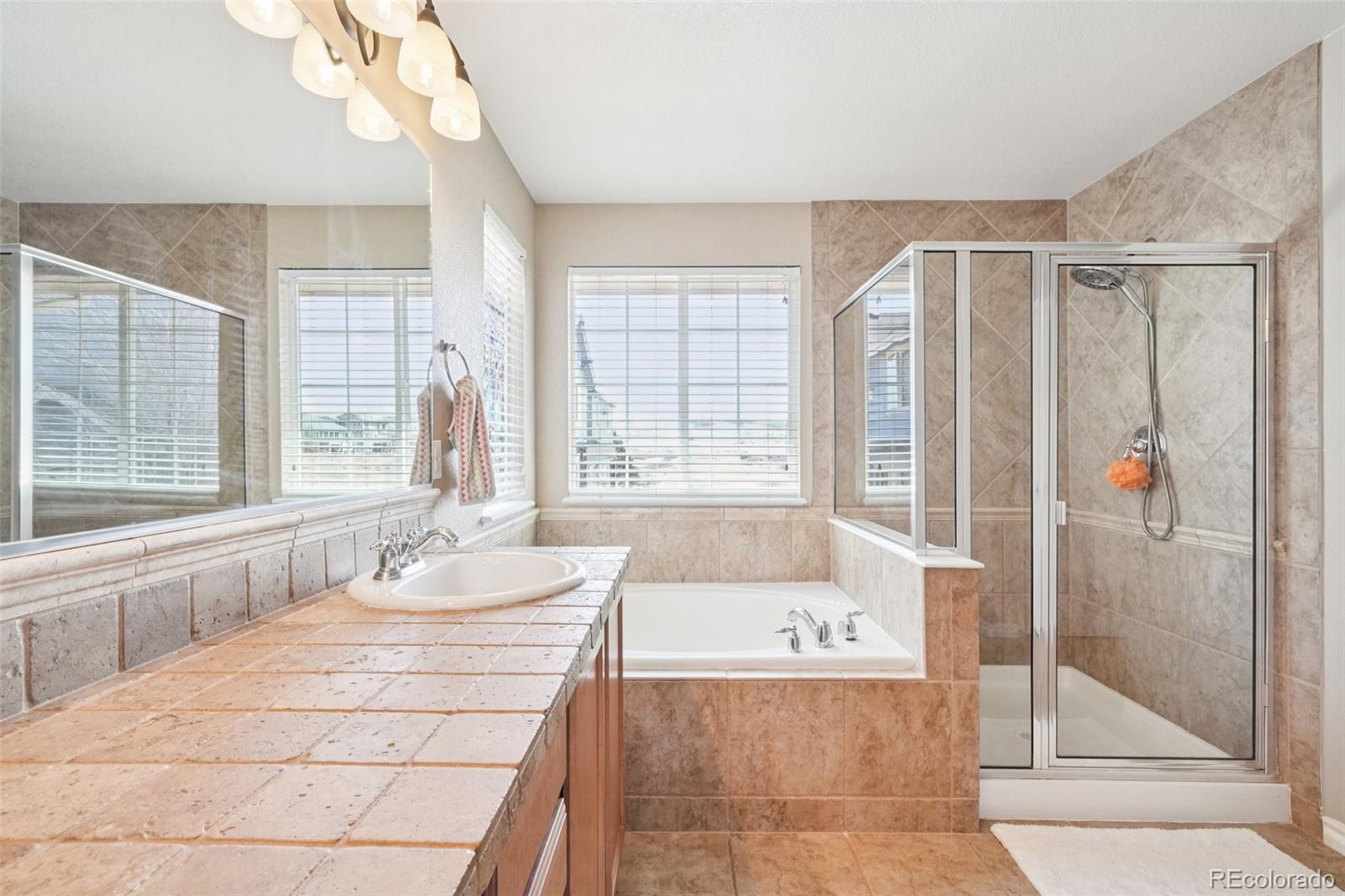10916 Towerbridge Road Highlands Ranch, CO 80130 - Photo 20 of 46 Gallery Image 20