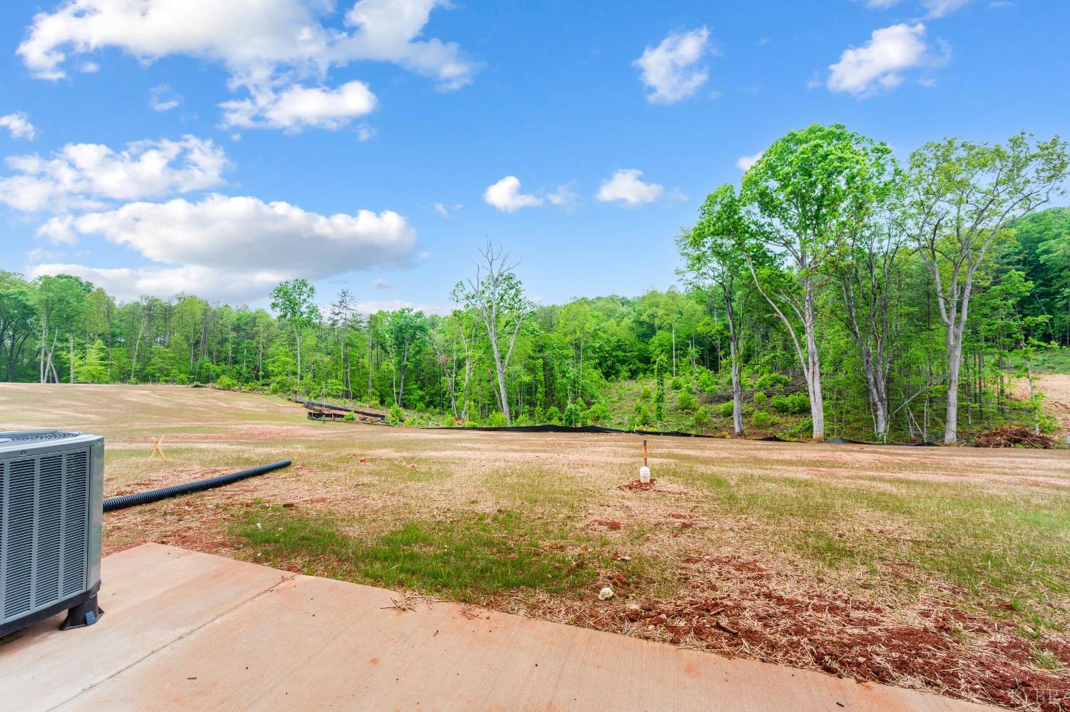 11286 Leesville Road Evington, VA 24550 - Photo 68 of 75