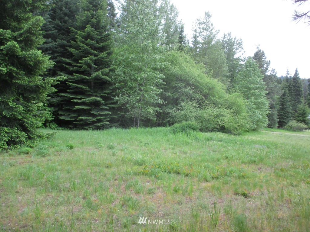 5790 Nelson Siding Road Cle Elum, WA 98922 - Photo 22 of 24