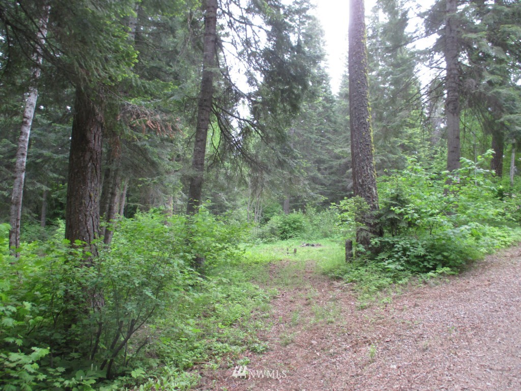 5790 Nelson Siding Road Cle Elum, WA 98922 - Photo 8 of 24