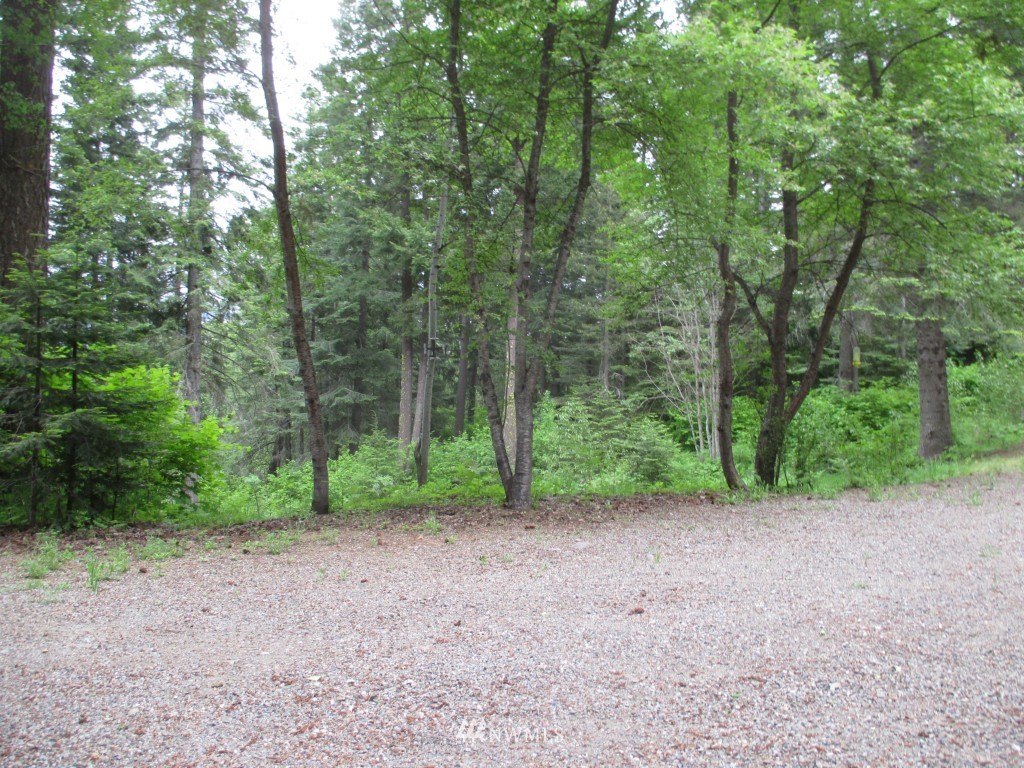 5790 Nelson Siding Road Cle Elum, WA 98922 - Photo 9 of 24