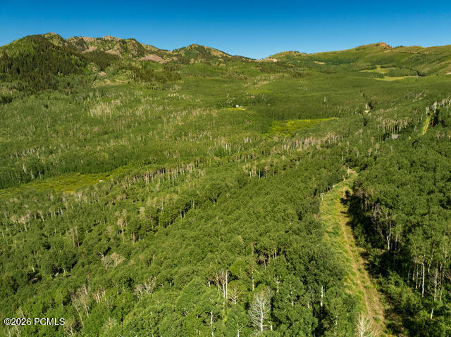 5146 North Pne Cyn Road Park City, UT 84060 - Photo 11 of 15