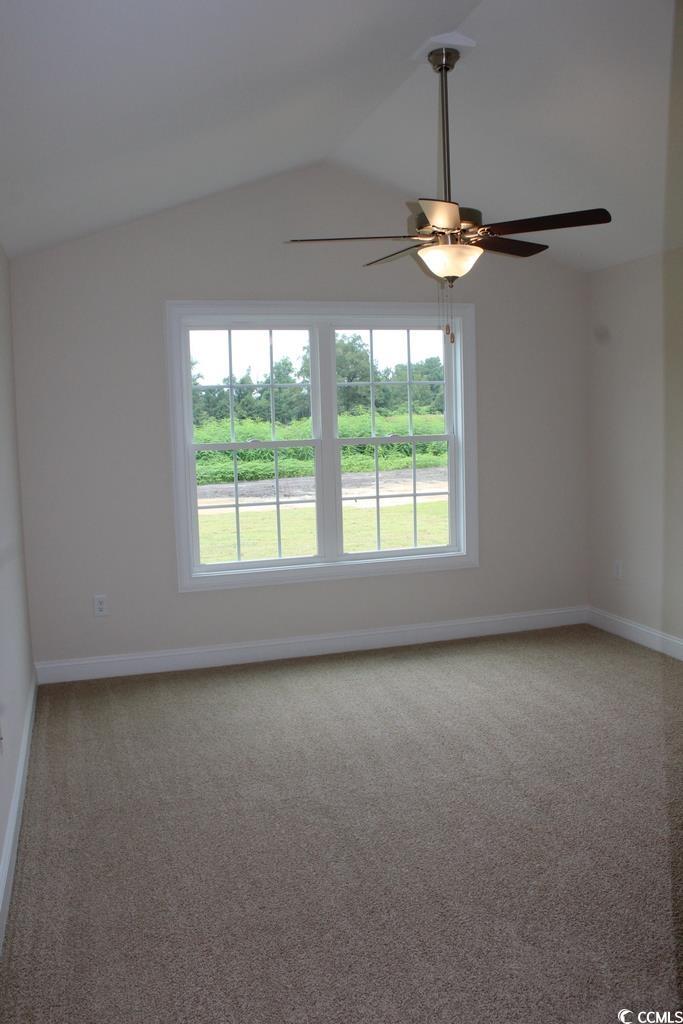 416 Hallie Martin Road Conway, SC 29527 - Photo 14 of 24