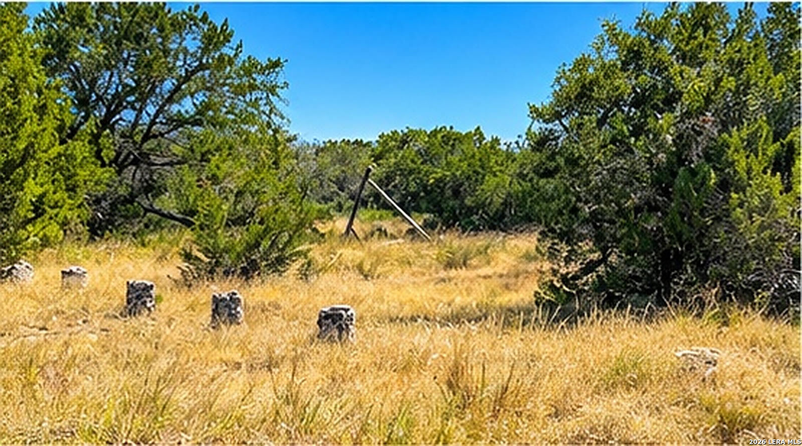 0 Jackson Ranch Rocksprings, TX 78880 - Photo 12 of 13 Gallery Image 12