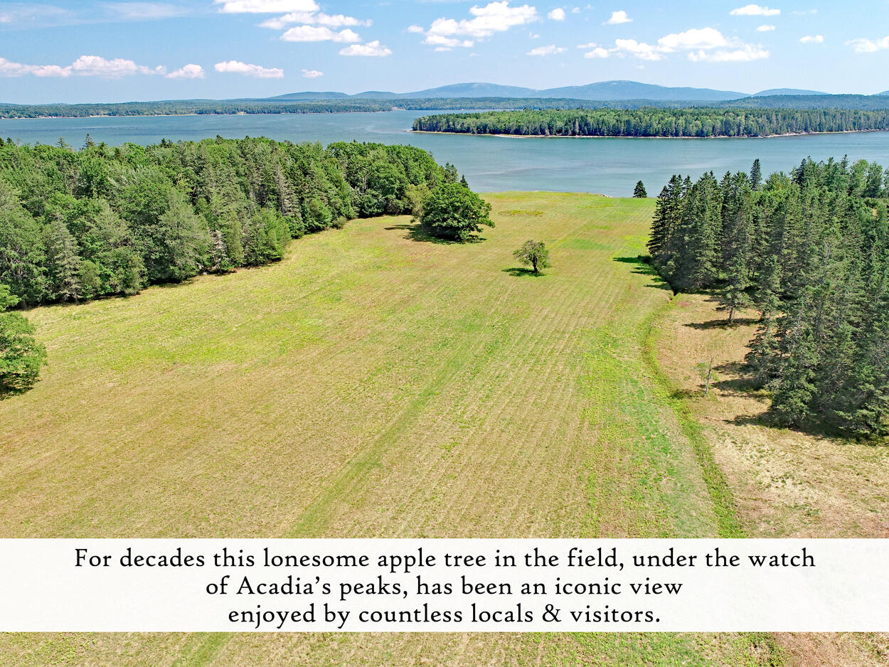 607 Oak Point Road Trenton, ME 04605 - Photo 4 of 187 Field (7), label