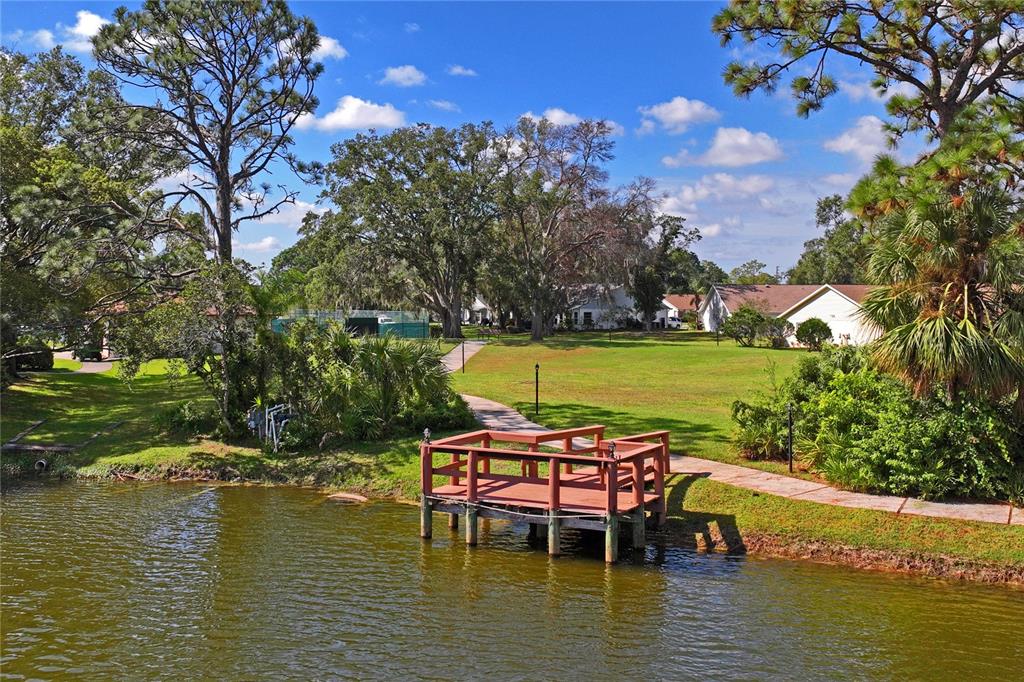 4740 Carrington Court New Port Richey, FL 34655 - Photo 63 of 66