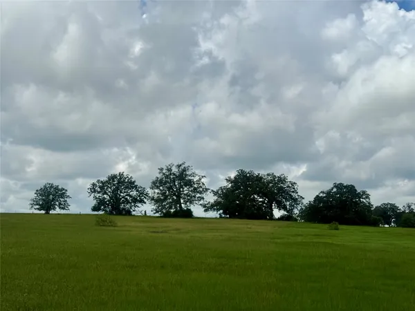 $125,000 | 1390 Connor Landing, Madisonville, TX 77864