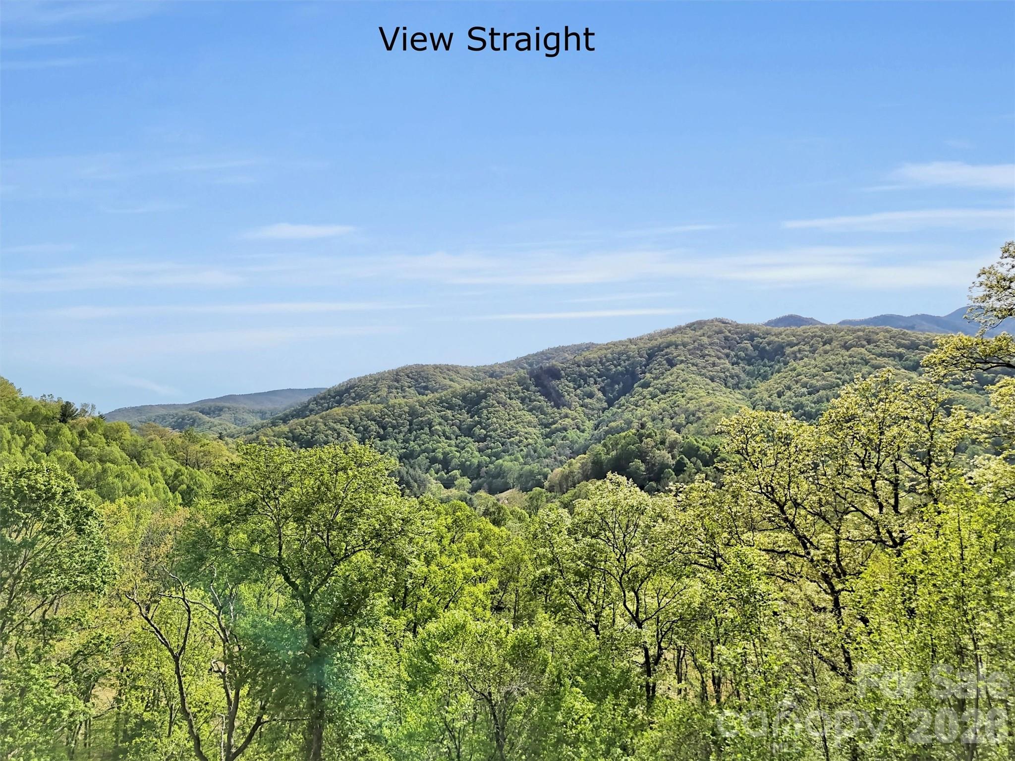 455 Chinquapin Road Canton, NC 28716 - Photo 17 of 44