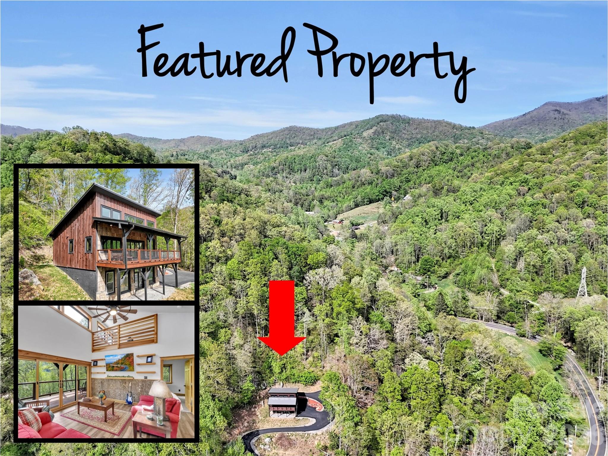 455 Chinquapin Road Canton, NC 28716 - Photo 3 of 44