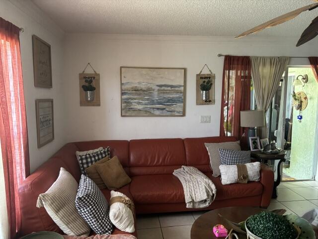 6207 Adriatic Way West Palm Beach, FL 33413 - Photo 11 of 26 a living room with furniture and a large window