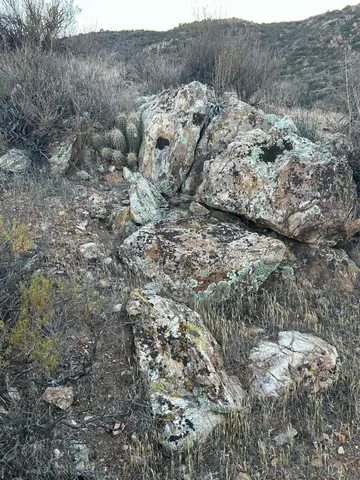 an aerial view of residential house and green space