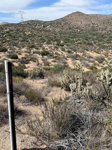 a view of a tree with a house