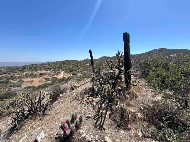 a view of a dry field
