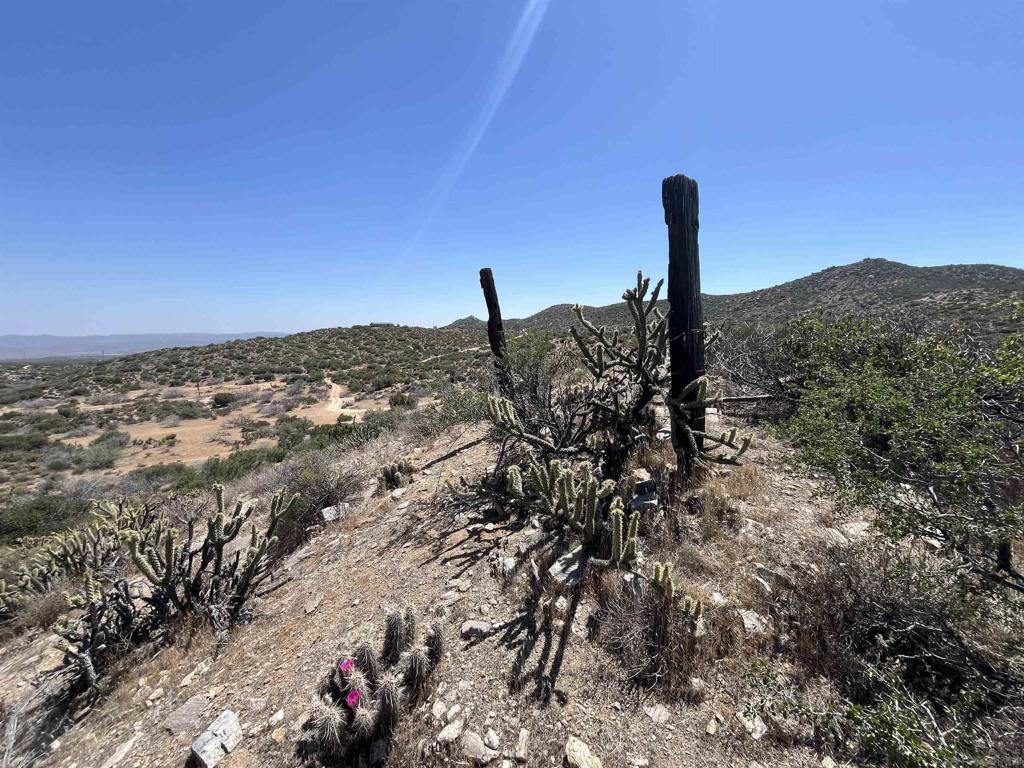 0 Old Highway Jacumba, CA 91934 - Photo 9 of 19 a view of a tree with a house