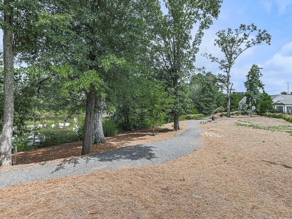 250 Idylwilde Way Canton, GA 30115 - Photo 54 of 59