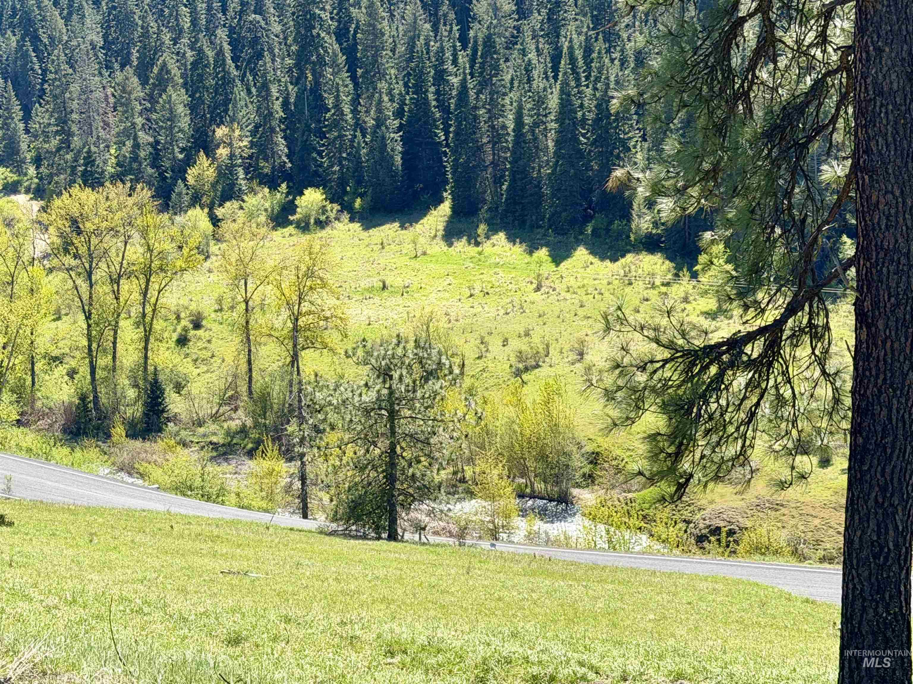 624 Clearcreek Road Kooskia, ID 83539 - Photo 32 of 35