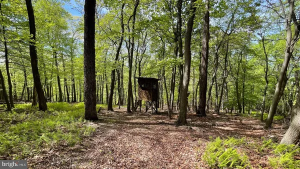 $409,000 | 133.944-acres 133.944-acres Russelldale Road, Purgitsville, WV 26852