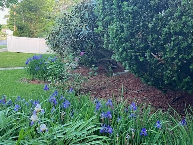 79 Wheeler Road Newton, MA 02459 - Photo 28 of 28