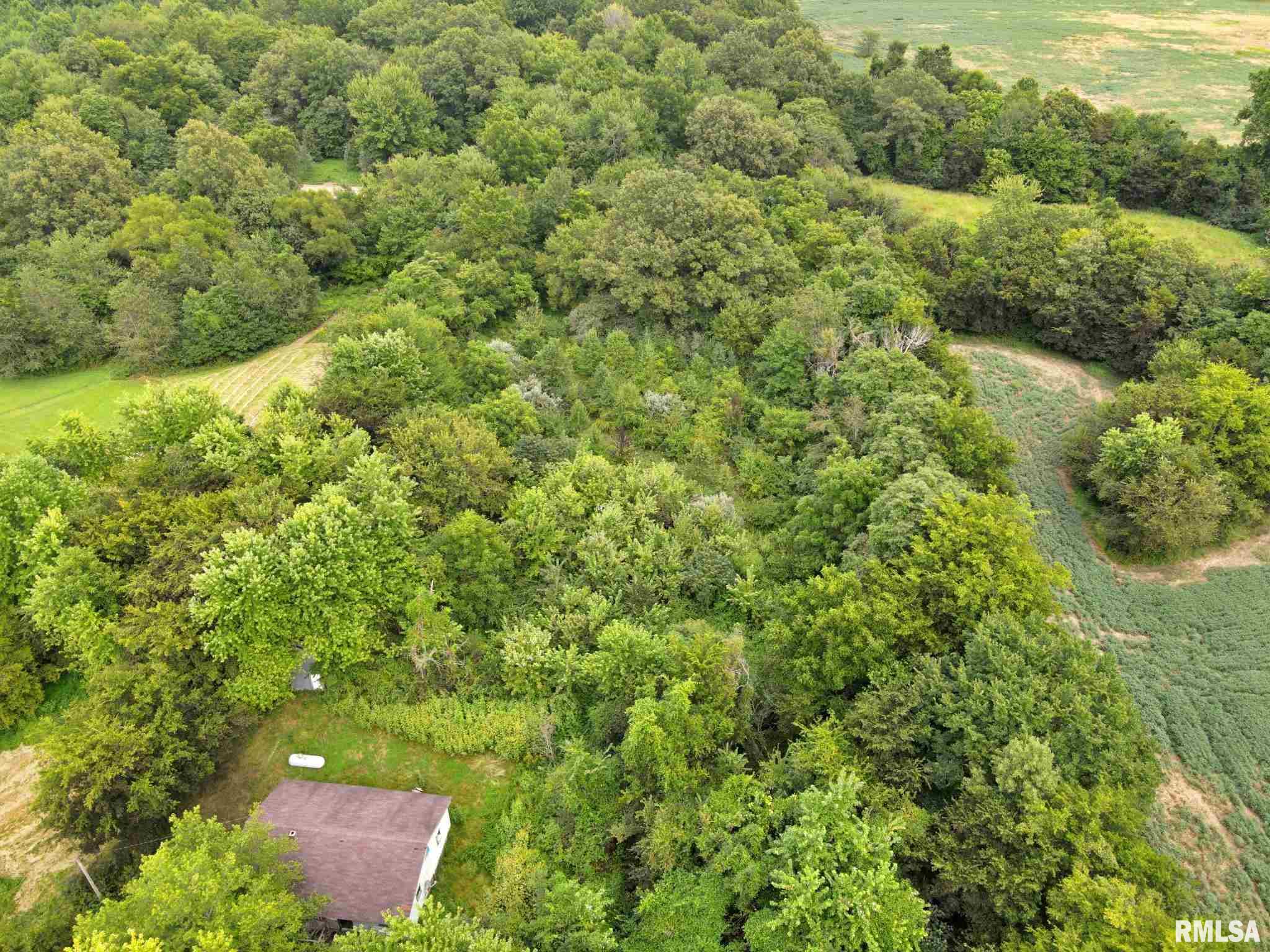 4062 Guinea Road Metropolis, IL 62960 - Photo 4 of 16 Gallery Image 4