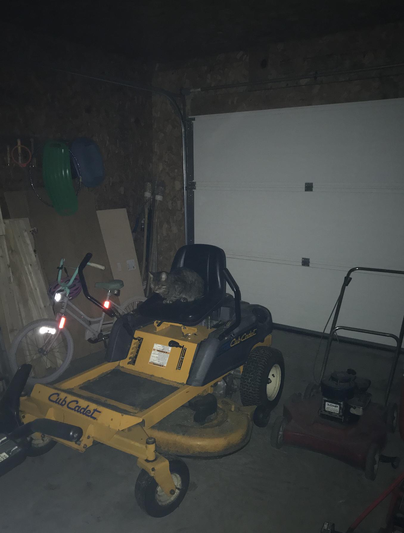 759 Beaulieu Road St. David, ME 04773 - Photo 19 of 19 Screen Shot 2019-11-02 at 6.26.58 PM
