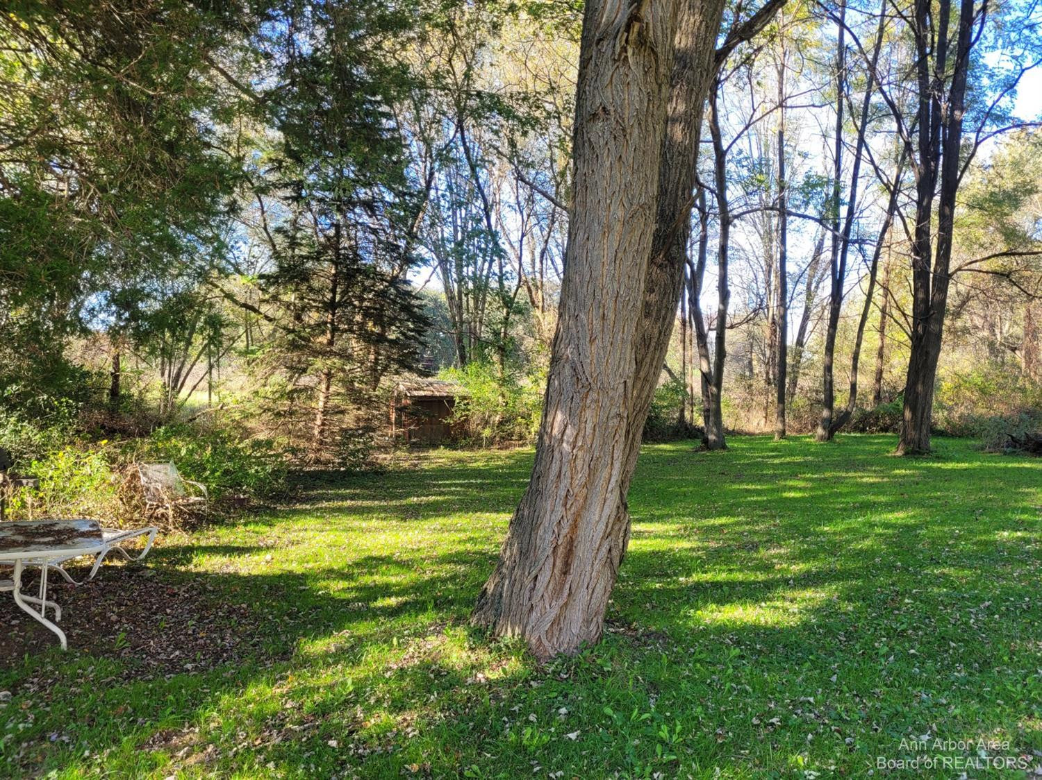 19925 Williamsville Road Gregory, MI 48137 - Photo 7 of 9 Photo 7