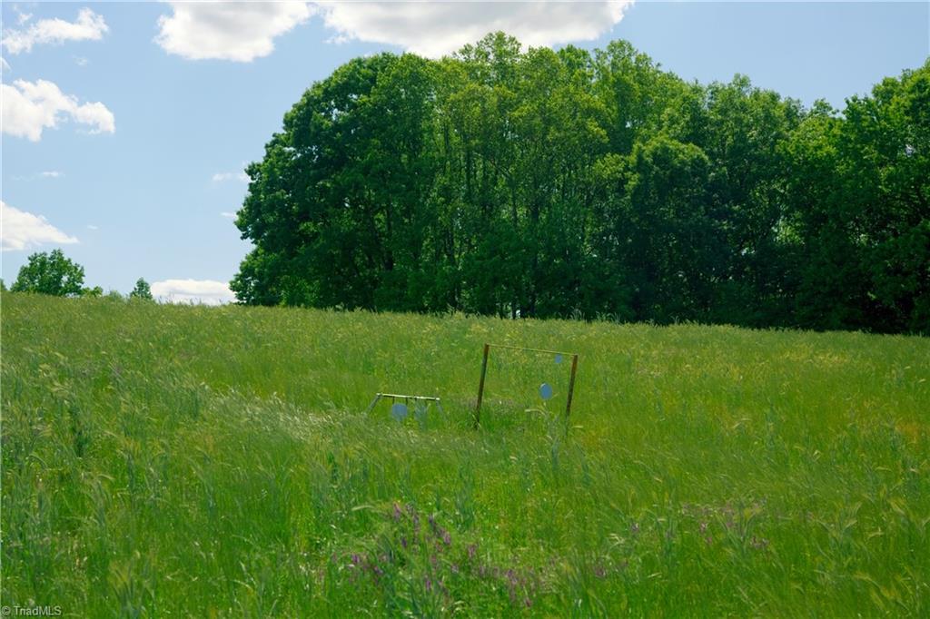 2 Powell Bridge Road Harmony, NC 28634 - Photo 8 of 30