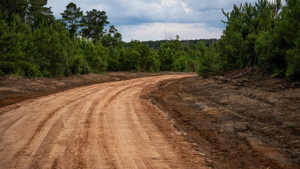 6198 Old Mill Road Osyka, MS 39657 - Photo 22 of 57 Photo 22