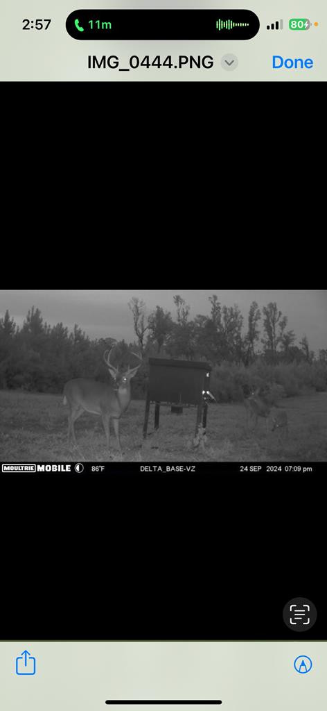 6198 Old Mill Road Osyka, MS 39657 - Photo 54 of 57 Photo 54
