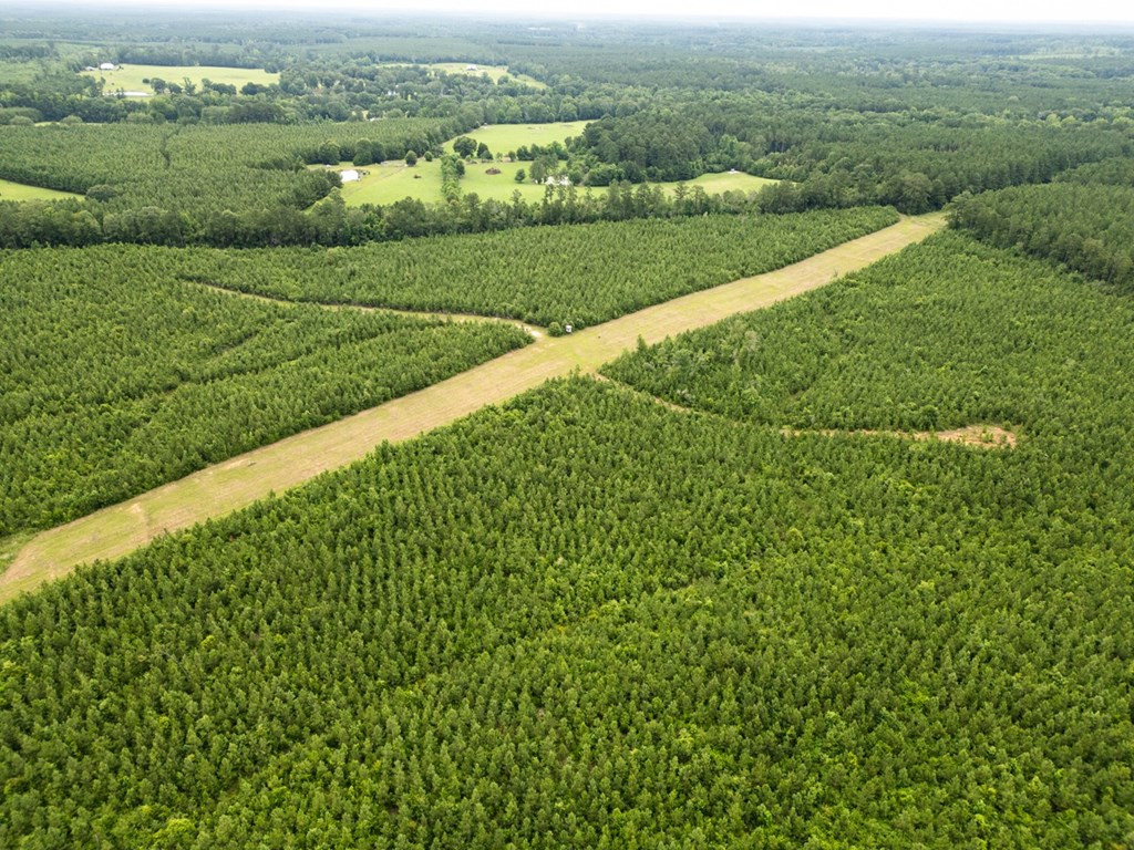 6198 Old Mill Road Osyka, MS 39657 - Photo 10 of 57 Photo 10