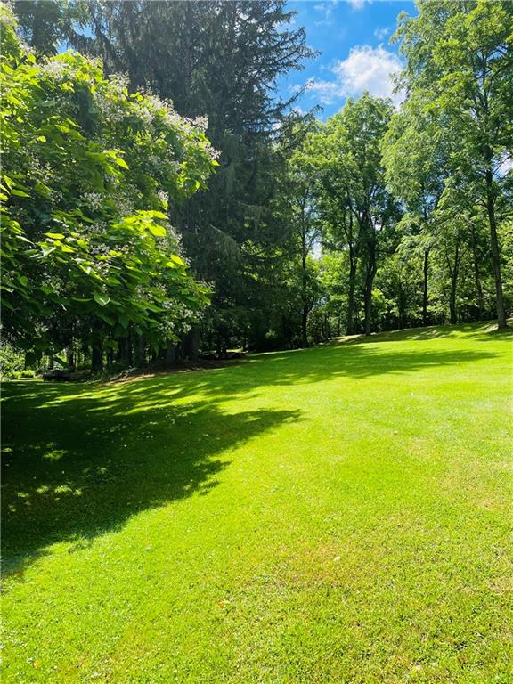 100 Millsboro Road Rices Landing, PA 15357 - Photo 13 of 25