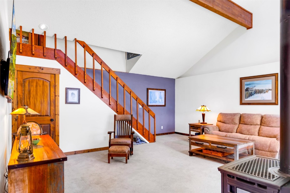 60 Jackson Road Alma, CO 80420 - Photo 11 of 50 Gallery Image 11