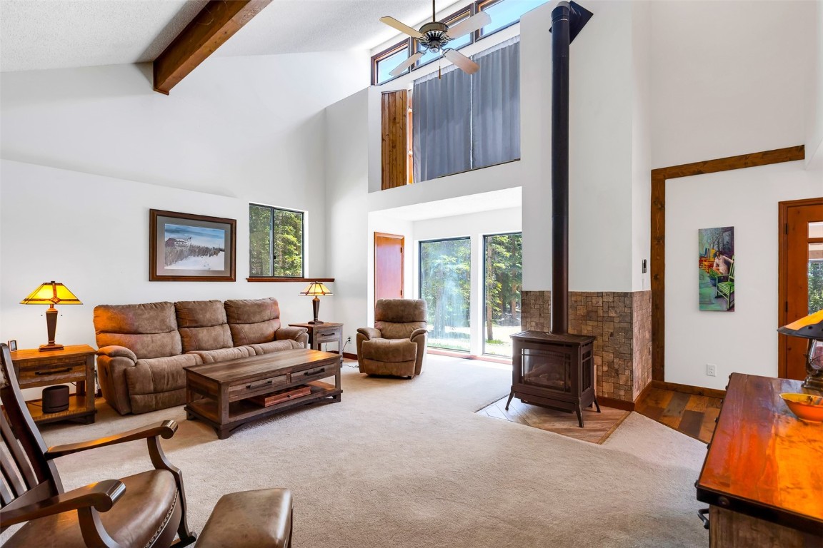 60 Jackson Road Alma, CO 80420 - Photo 12 of 50 Gallery Image 12