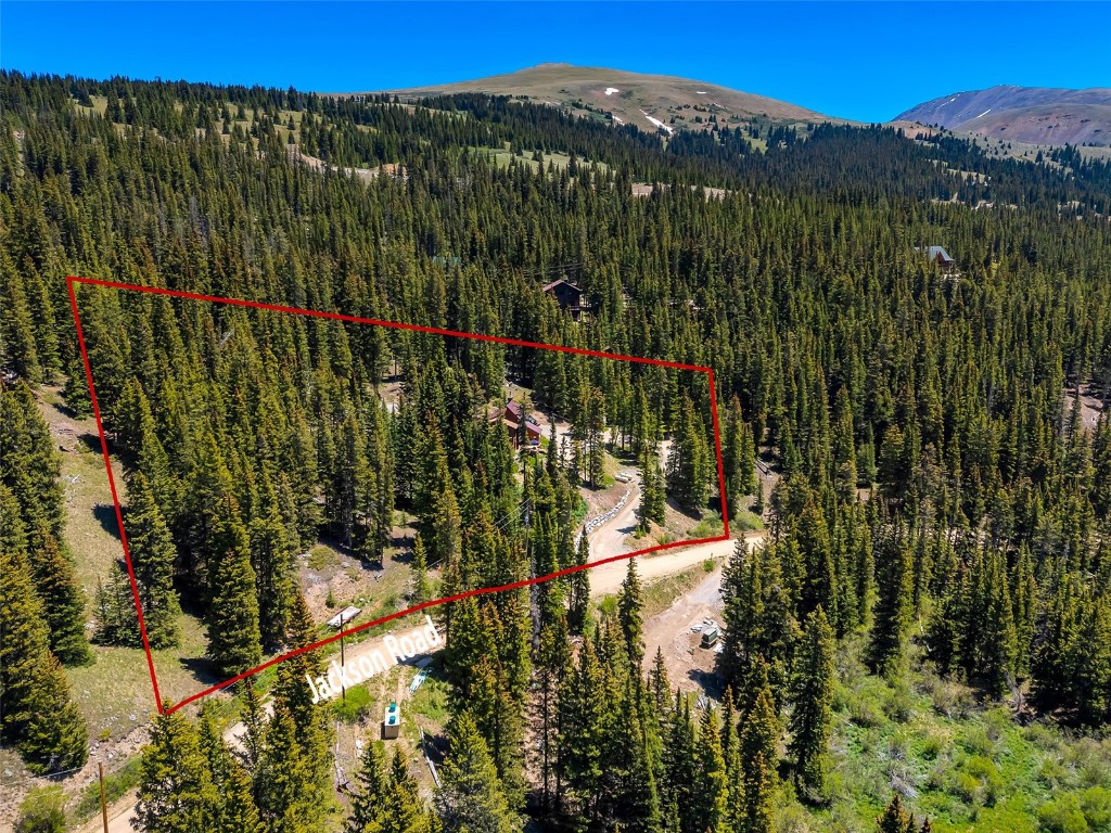 60 Jackson Road Alma, CO 80420 - Photo 49 of 50 lots lines approximate