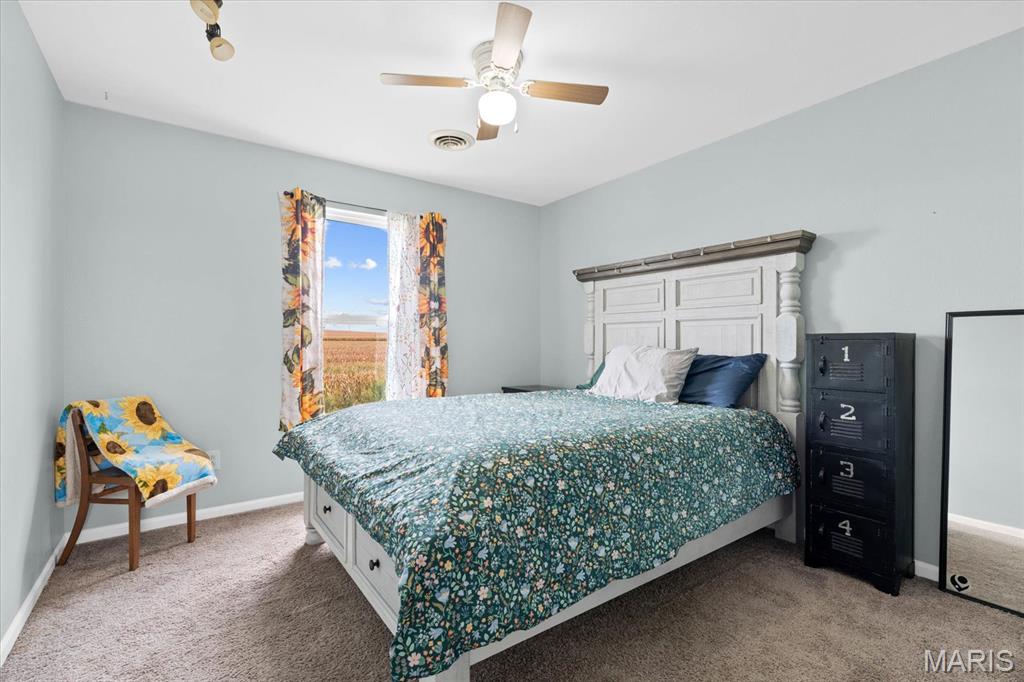 1304 Fieldstone Drive Waterloo, IL 62298 - Photo 34 of 40