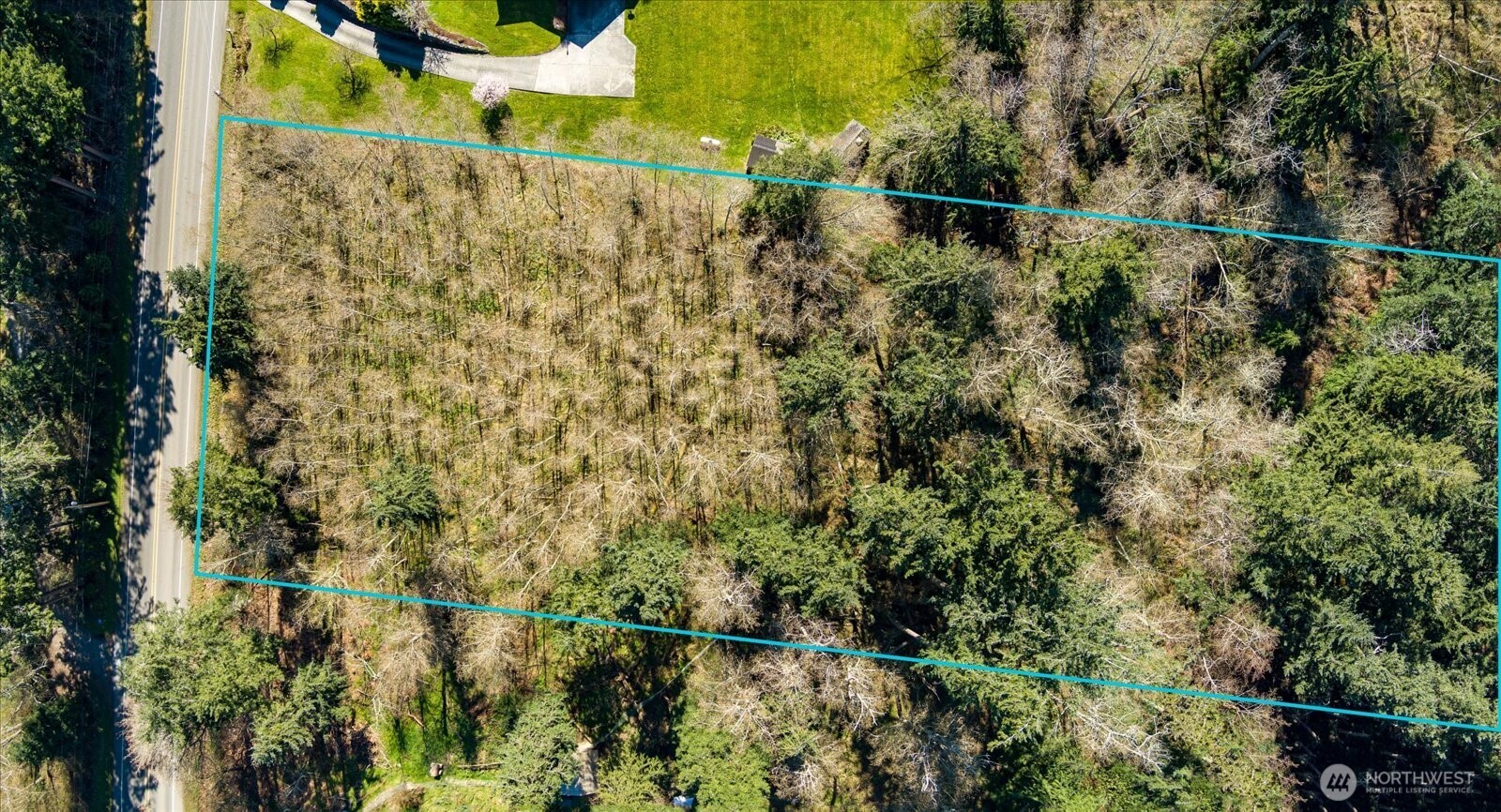 0 South Honeymoon Bay Road Greenbank, WA 98253 - Photo 11 of 12 a view of a yard with a tree