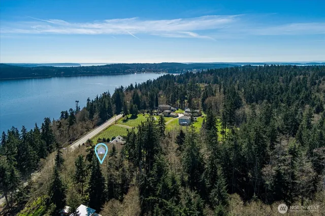 a view of a lake in middle of forest