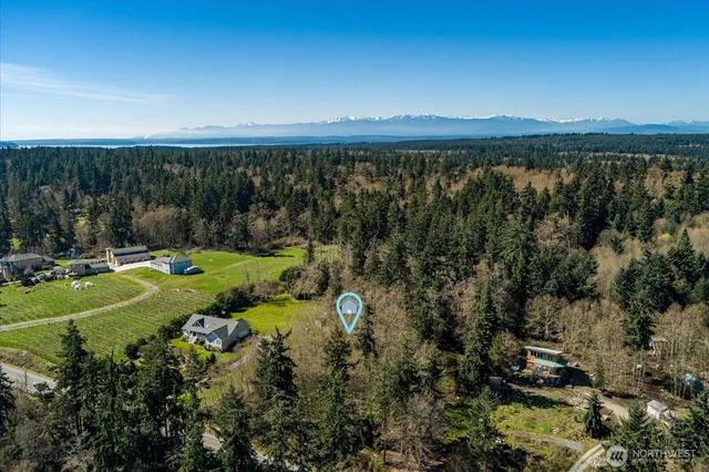 a view of a city with lush green forest