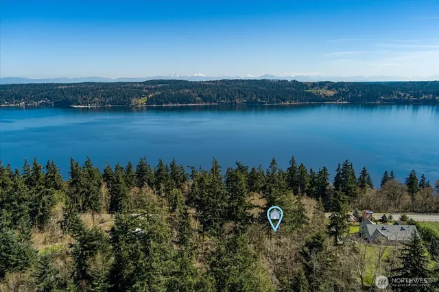 a view of a yard with a tree