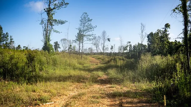 $281,400 | 4698 Kahnville Road, Gloster, MS 39638