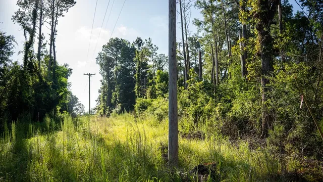 $281,400 | 4698 Kahnville Road, Gloster, MS 39638