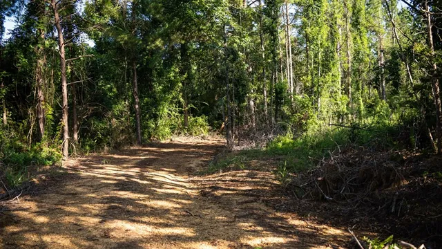 $281,400 | 4698 Kahnville Road, Gloster, MS 39638