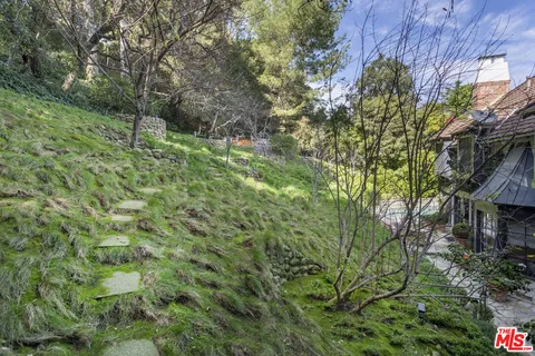 a big yard with lots of green space