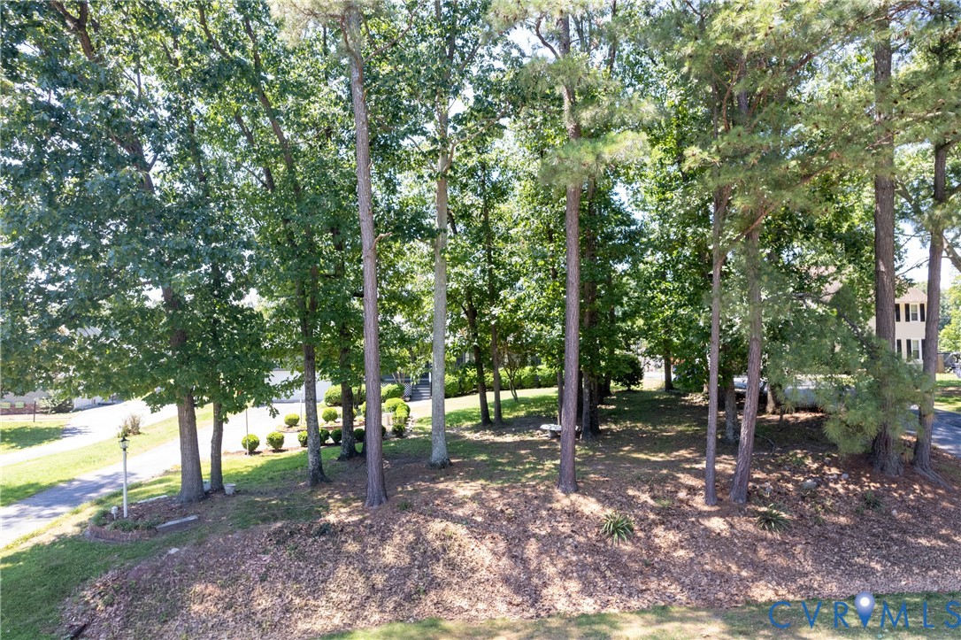 617 Rebel Ridge Road Colonial Heights, VA 23834 - Photo 45 of 49 a view of outdoor space with deck and trees