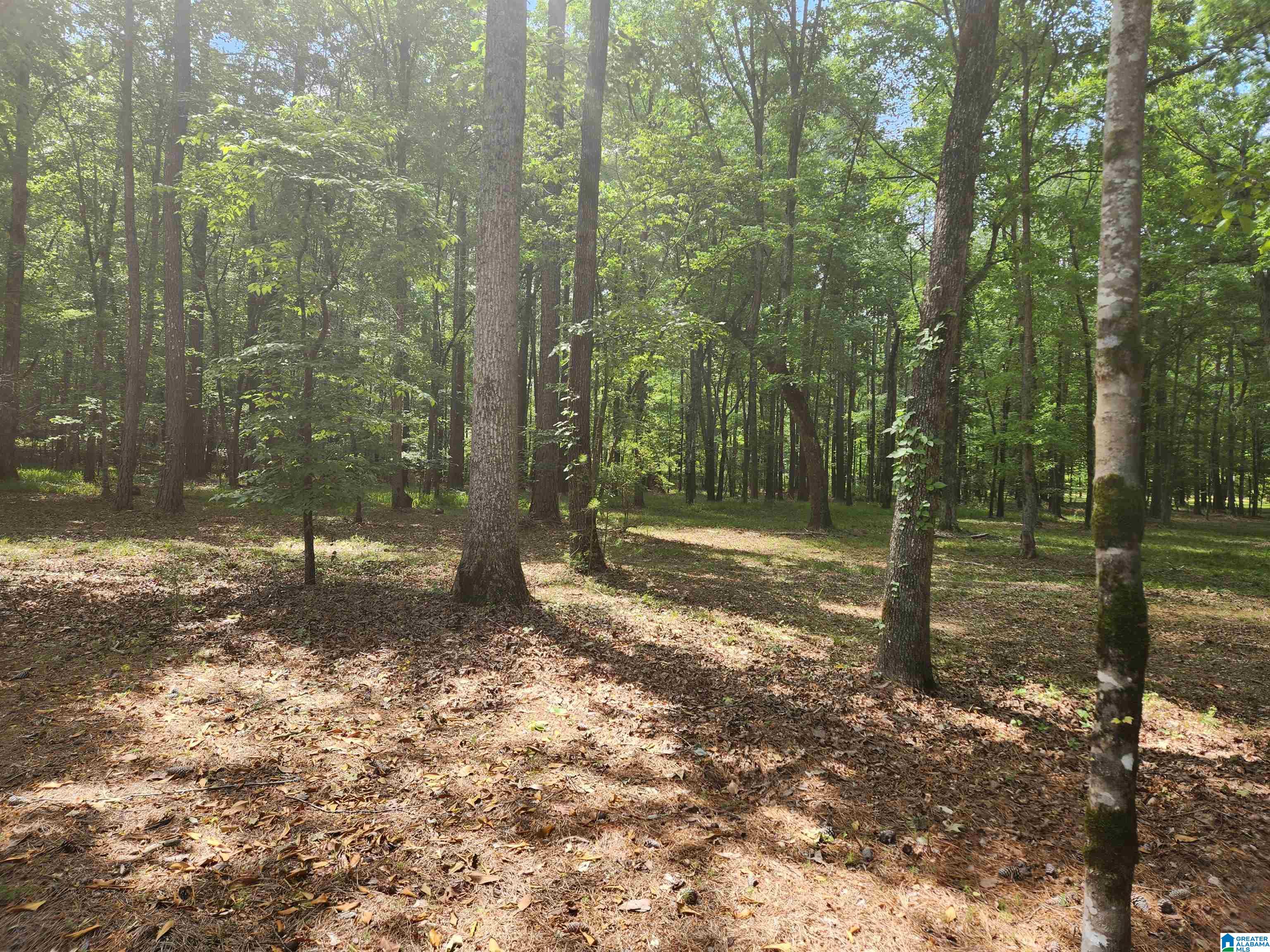 8757 Shades Fall Way, Unit 3 Bessemer, AL 35022 - Photo 7 of 16