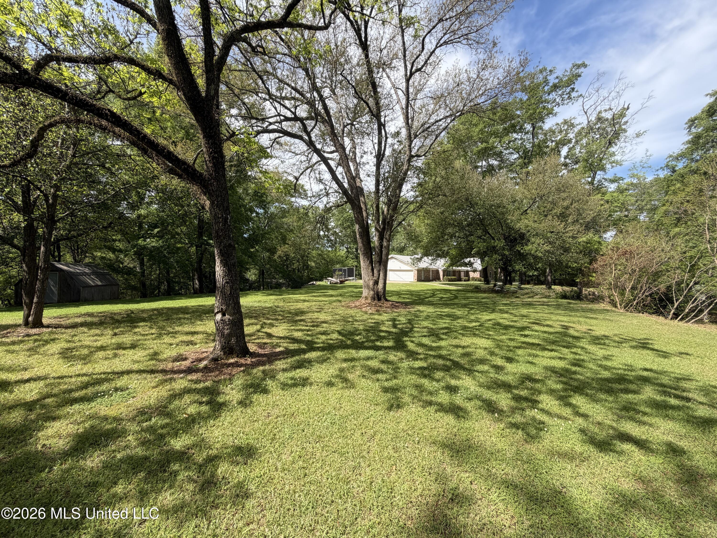 218 Gillespie Circle Raymond, MS 39154 - Photo 37 of 42 gilllawn4